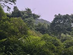 -广州市白云山风景名胜区