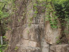 -鹦鹉寺公园
