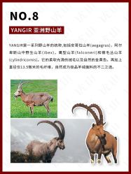 -优山定制西服衬衫大衣(国贸店)