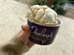 -Dooley's Premium Ice Cream