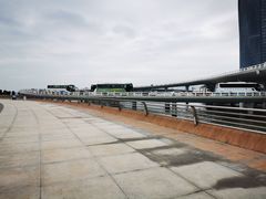 -演武大桥观景平台
