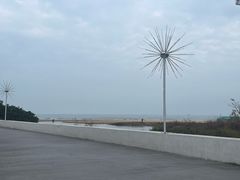 -日照海滨国家森林公园