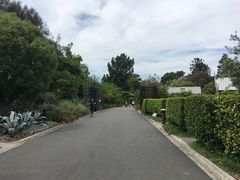 -墨尔本皇家植物园