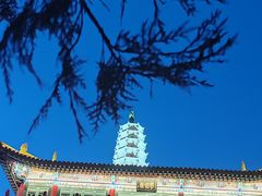 -白塔山公园