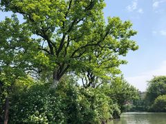 -西溪国家湿地公园