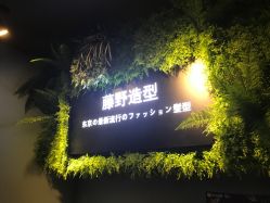 点击看大图 -藤野造型