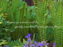 -云峰山自然风景区