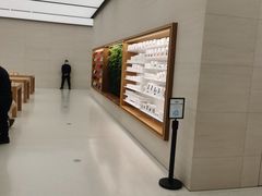 -Apple零售店(苏州店)