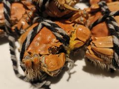 -城市节奏餐厅(海外滩·名品汇店)