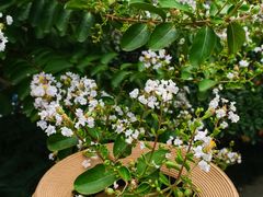 -杭州城北体育公园