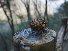 -燕子河大峡谷天坑仙境