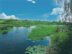 -同里国家湿地公园