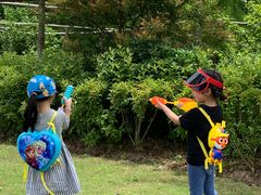 -上海长兴岛郊野公园