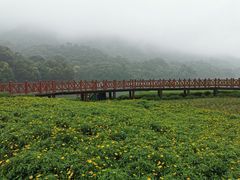 -广州市石门国家森林公园