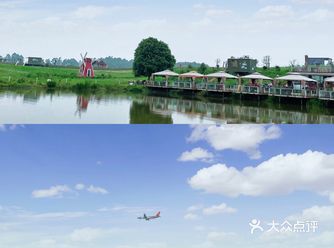 夏天避暑️｜空港花田最佳赏花玩水季‍♀️