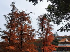 -东山湖公园