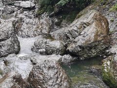 -龙苍沟森林公园
