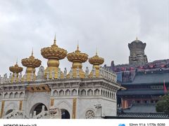 -上海东林寺(金山区)