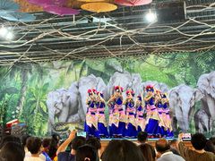 -野象谷景区