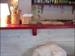 -Babycat私家御饼屋(龙头路一店)