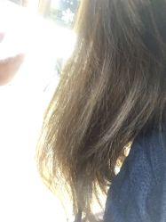-镁连社·美联社