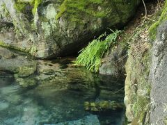 -南京珍珠泉风景区