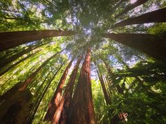 -广东科学中心科技影院