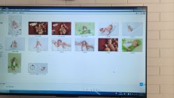 -小鬼当佳儿童摄影(河北保定店)