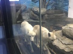 -梦幻海洋王国(吾悦广场张家港店)