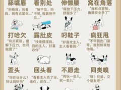 -瑞派天使宠物医院·神经外科·骨科·核磁(洛川中路店)