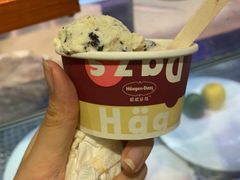 哈根达斯-长沙三景韦尔斯利酒店·Oval全日制餐厅自助餐