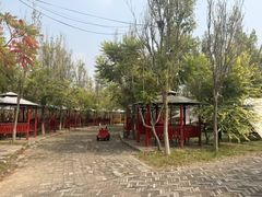 -西青郊野公园