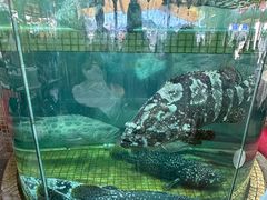 -全记海鲜菜馆(海傍街店)