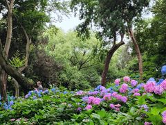 -惠山国家森林公园