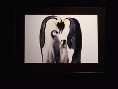 -罗红摄影艺术馆