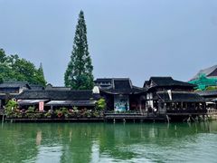 -乌镇西栅景区