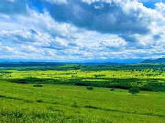 -塞罕坝国家级自然保护区