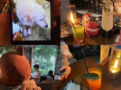 -咖法森林·咖啡  酒吧(天河店)