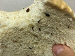 -爸爸糖吐司面包(大连高新锦辉商场店)