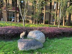 -上海财经大学-绿叶食堂