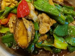 麻辣椒炒鲜鲍-橄榄季酒店