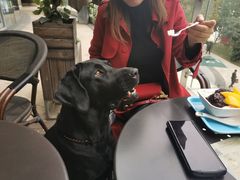 -满记甜品(大悦城店)