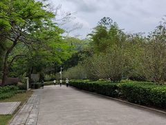 -田心森林公园