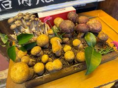 -菌自由丨野生菌火锅特色庭院餐厅(丽江古城店)