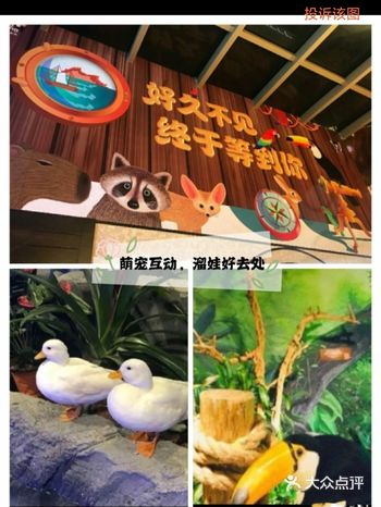 这个春天必打卡魔都No.1儿童萌宠乐园