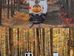 -黄海国家森林公园