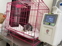 -美联众合动物医院·24h京西诊疗中心