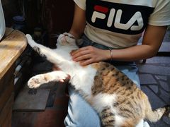 -老宅原住民沙茶面精品小吃(龙头路店)