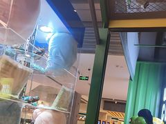 -蛙喔牛蛙(百联南方店)