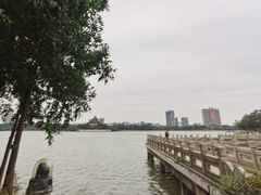 -顺峰山公园